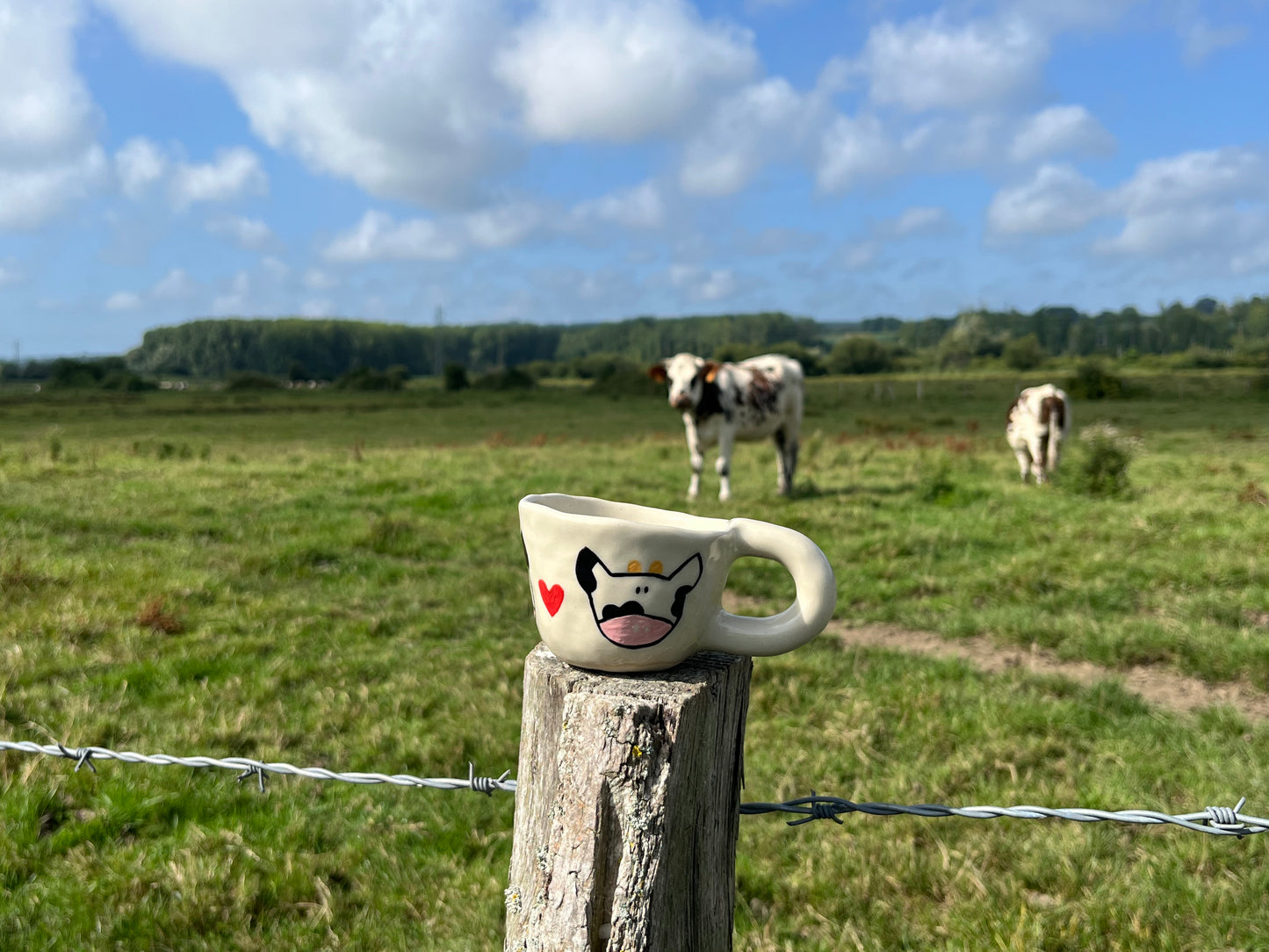 Mug Pie