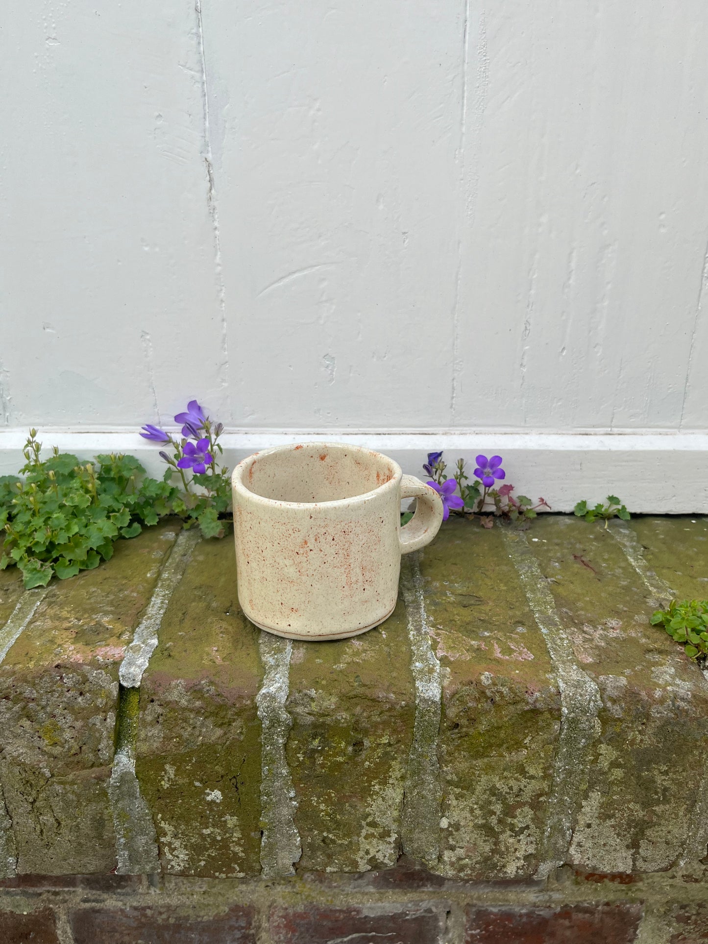 Mug Moucheté